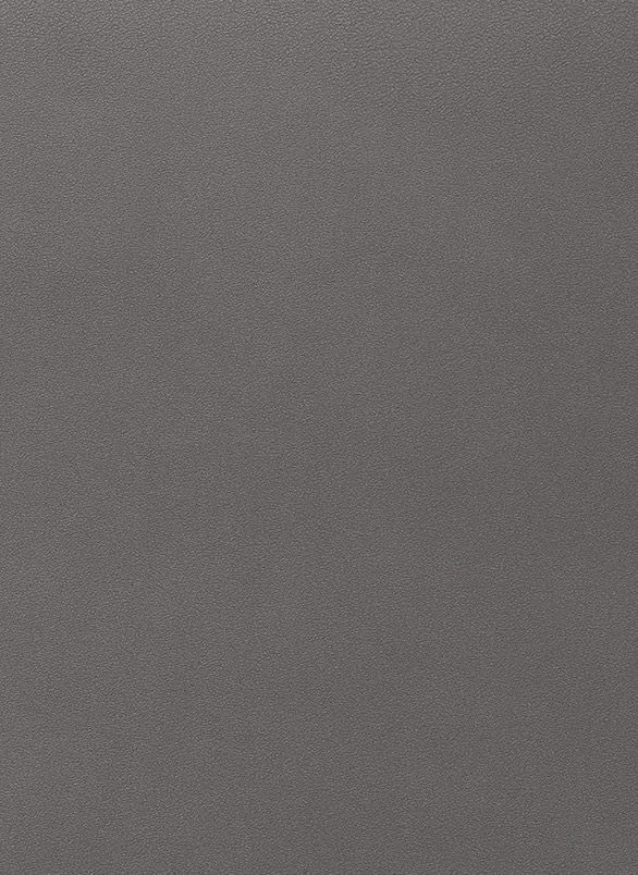 Пластик Эггер Металлик платиновый серый F463 ST20 0,8 мм 2800×1310 мм