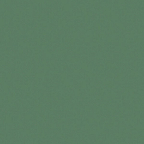 ЛДСП Egger Зелёный эвкалипт AU604 ST9 2800×2070×16