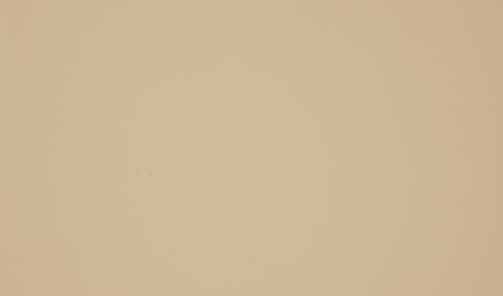 Пластик HPL 0536 LU Кофе с молоком глянец STD 0,7 мм 3050×1300 мм Arpa