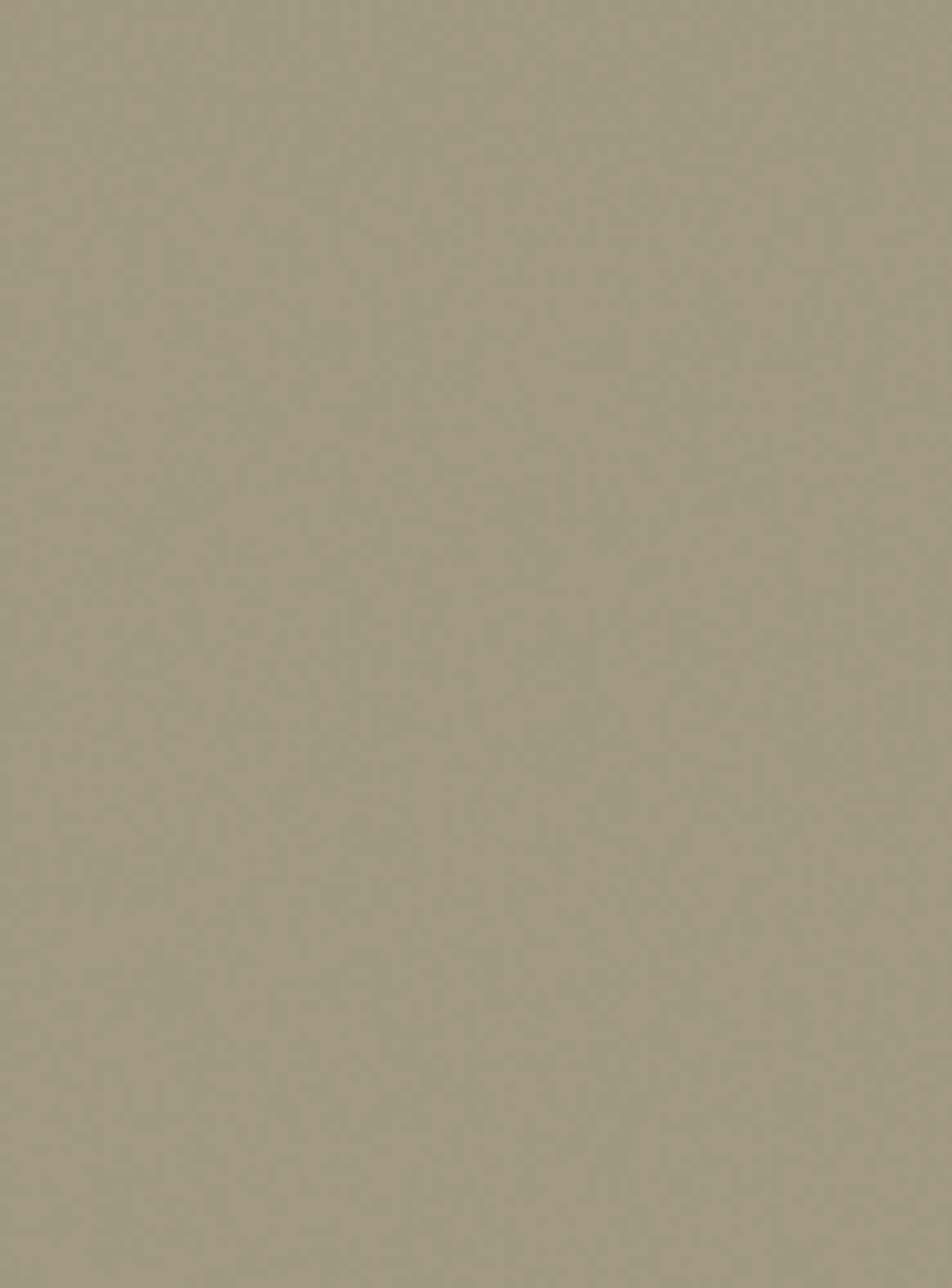 Плита TSS CLEAF Primo Fior UA80 2800×2070×18