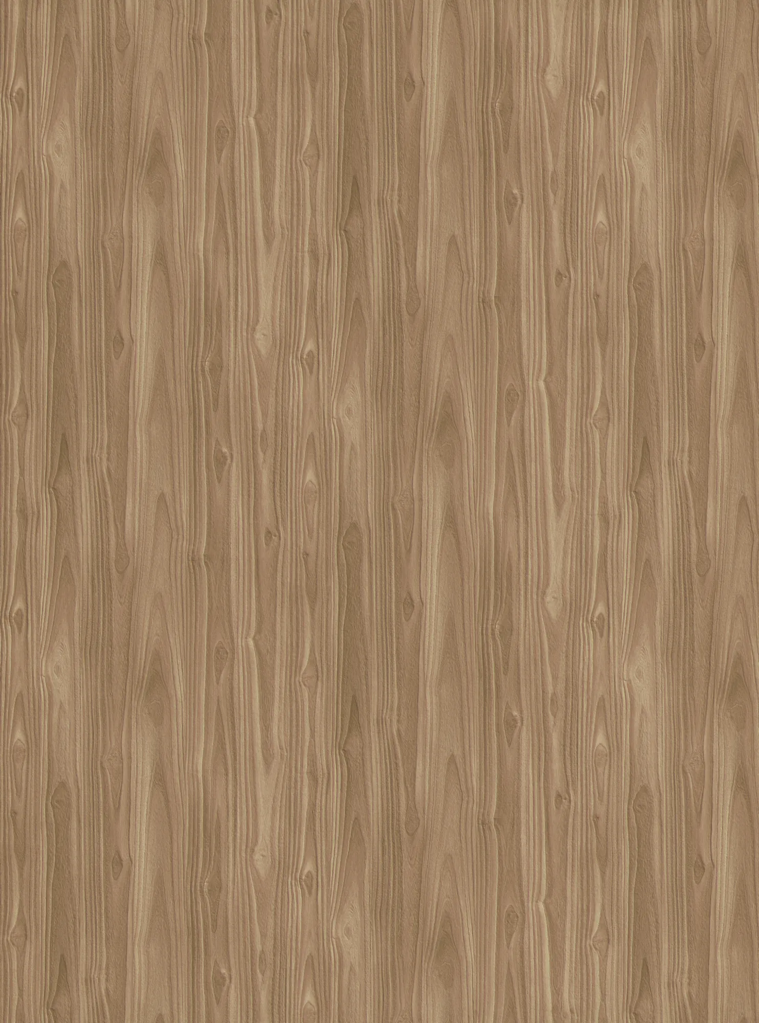 Кромка CLEAF ABS, Okobo S160 23×1,0